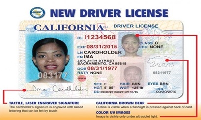 Random Drivers License Number